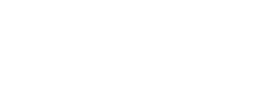 RayGO Pizza Il Forno